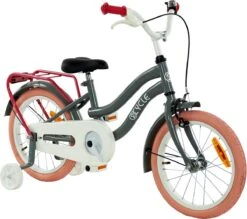 2Cycle Pretty Meisjesfiets - 16 Inch - Grijs-Roze - Meisjesfiets 10 2Cycle Pretty Meisjesfiets - 16 Inch - Grijs-Roze - Meisjesfiets -Beste Fietsen Winkel 1200x1062 1