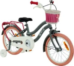2Cycle Pretty Meisjesfiets - 16 Inch - Grijs-Roze - Meisjesfiets 11 2Cycle Pretty Meisjesfiets - 16 Inch - Grijs-Roze - Meisjesfiets -Beste Fietsen Winkel 1200x1062 2