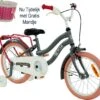 2Cycle Pretty Meisjesfiets - 16 Inch - Grijs-Roze - Meisjesfiets 2 2Cycle Pretty Meisjesfiets - 16 Inch - Grijs-Roze - Meisjesfiets -Beste Fietsen Winkel 1200x1063