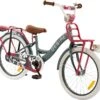 2Cycle Desire Kinderfiets - 20 Inch - Voordrager -Grijs-Roze - Meisjesfiets -Beste Fietsen Winkel 1200x1113