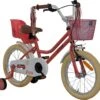 2Cycle Paris Meisjesfiets - 16 Inch - Roze-Wit - Met Poppenzitje - Meisjesfiets -Beste Fietsen Winkel 1200x1129 3