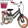 2Cycle Pretty Kinderfiets - 14 Inch - Grijs-Roze - Meisjesfiets -Beste Fietsen Winkel 1200x1159 2