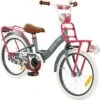 2Cycle Desire Kinderfiets - 18 Inch - Voordrager - Grijs - Meisjesfiets -Beste Fietsen Winkel 1200x1193 1