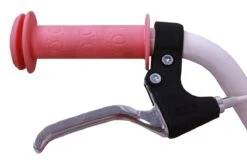 Amigo Superstar Meisjesfiets - Kinderfiets 20 Inch - Roze 15 Amigo Superstar Meisjesfiets - Kinderfiets 20 Inch - Roze -Beste Fietsen Winkel 1200x777