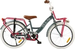2Cycle Desire Kinderfiets - 20 Inch - Voordrager -Grijs-Roze - Meisjesfiets 11 2Cycle Desire Kinderfiets - 20 Inch - Voordrager -Grijs-Roze - Meisjesfiets -Beste Fietsen Winkel 1200x783 5