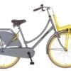Popal Daily Dutch Basic Season - 26 Inch - Meisjesfiets - Transport - Grijs Geel -Beste Fietsen Winkel 1200x788 6