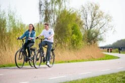 Amigo E-Vibe D1 - Elektrische Stadsfiets Voor Heren - Met 7 Versnellingen - Matgrijs -Beste Fietsen Winkel 1200x800 9