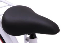 Amigo Sweetheart Meisjesfiets - Kinderfiets 20 Inch - Wit 31 Amigo Sweetheart Meisjesfiets - Kinderfiets 20 Inch - Wit -Beste Fietsen Winkel 1200x813