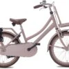 Valetta Cargo - Transportfiets - Meisjesfiets - 20 Inch - Mat Flamingo -Beste Fietsen Winkel 1200x821 1