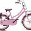 Valetta Cargo - Transportfiets - Meisjesfiets - 20 Inch - Mint Roze 1 Valetta Cargo - Transportfiets - Meisjesfiets - 20 Inch - Mint Roze -Beste Fietsen Winkel 1200x833 1