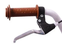 Amigo Bloom Meisjesfiets - Kinderfiets 20 Inch - Turquoise -Beste Fietsen Winkel 1200x876