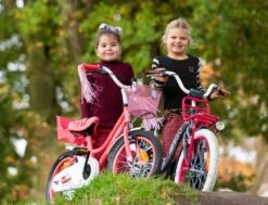 Amigo Magic Meisjesfiets - Kinderfiets 14 Inch - Wit 27 Amigo Magic Meisjesfiets - Kinderfiets 14 Inch - Wit -Beste Fietsen Winkel 1200x917 12