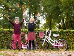 Amigo Flower Meisjesfiets - Kinderfiets 18 Inch - Wit 17 Amigo Flower Meisjesfiets - Kinderfiets 18 Inch - Wit -Beste Fietsen Winkel 1200x917 13