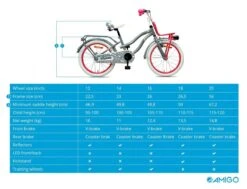 Amigo Lovely - Kinderfiets 20 Inch - Meisjes - Grijs -Beste Fietsen Winkel 1200x920 16
