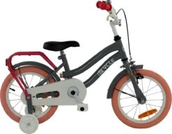 2Cycle Pretty Kinderfiets - 14 Inch - Grijs-Roze - Meisjesfiets 8 2Cycle Pretty Kinderfiets - 14 Inch - Grijs-Roze - Meisjesfiets -Beste Fietsen Winkel 1200x931