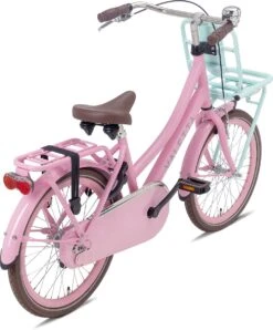 Valetta Cargo - Transportfiets - Meisjesfiets - 20 Inch - Mint Roze 7 Valetta Cargo - Transportfiets - Meisjesfiets - 20 Inch - Mint Roze -Beste Fietsen Winkel 994x1200